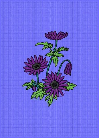Vez............................ umarica
Veliina slike........... 7 10 cm
